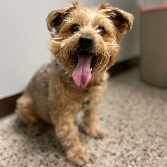 Meet your Posher, Leslie - Picture 2 of 3